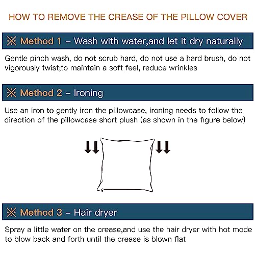 JOTOM Housses de Coussins Velvet Textured Décoratif Maison Aubergine Pourpre Salon Canapé Décoration 50x50cm Lot de 2